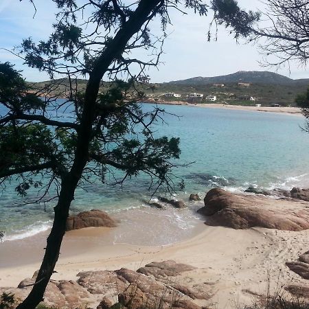 Fronte Mare Attico Indipendente Ed Esclusivo Con Terrazza Panoramica Lejlighed Isola Rossa Eksteriør billede