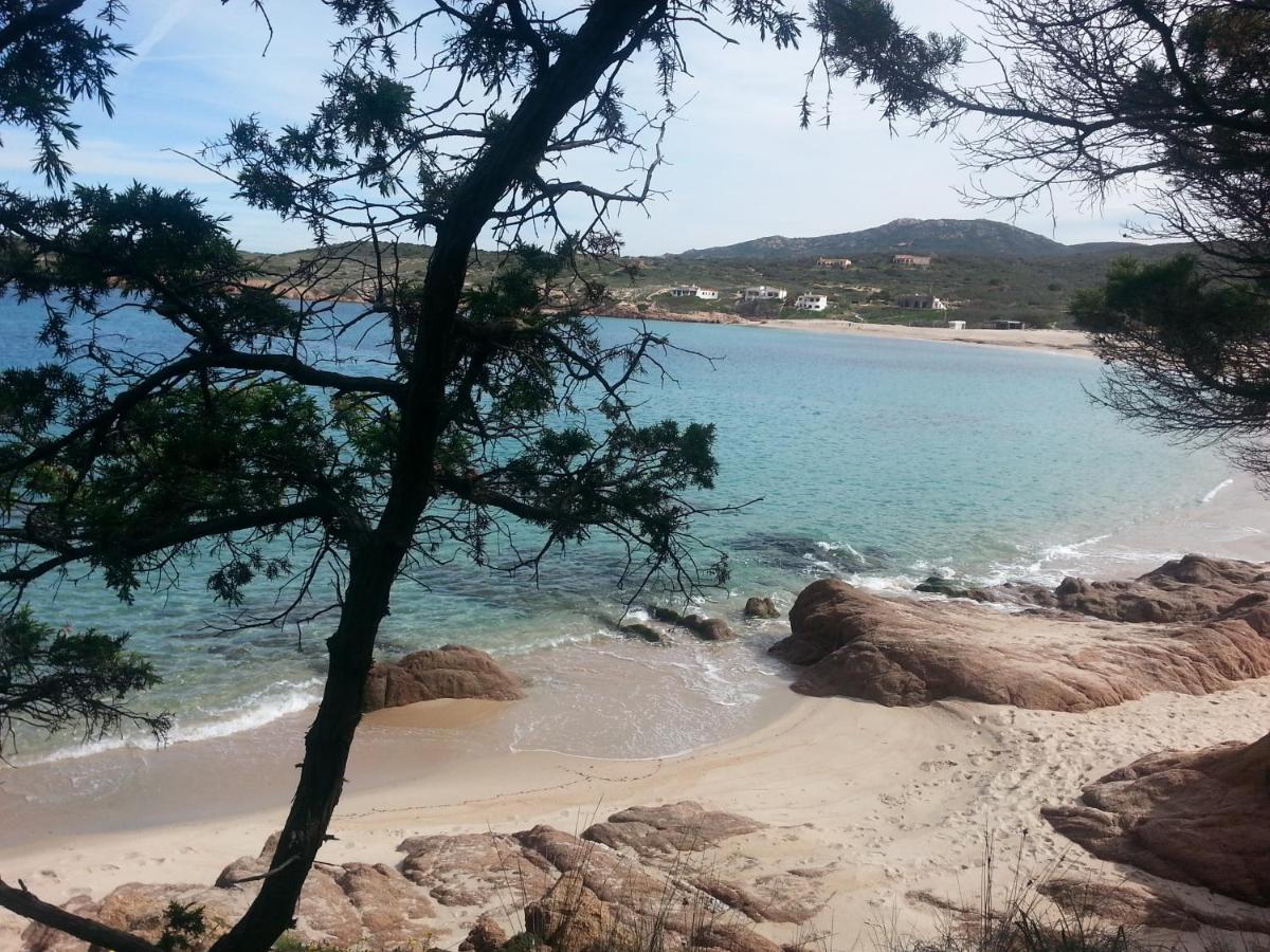Fronte Mare Attico Indipendente Ed Esclusivo Con Terrazza Panoramica Lejlighed Isola Rossa Eksteriør billede